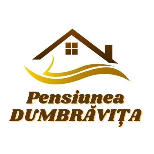 Pensiunea Dumbravita Dumbrava  Exteriör bild